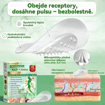 🌲🌲 BSWELL® Nano mikrovpichová zeštíhlující náplast✨(Stačí použít pouze jednou denně – viditelné změny již za 28 dní) ✅Bezbolestná, dlouhotrvající, zaměřená na řešení cukrovky, obezity a kardiovaskulárních onemocnění
