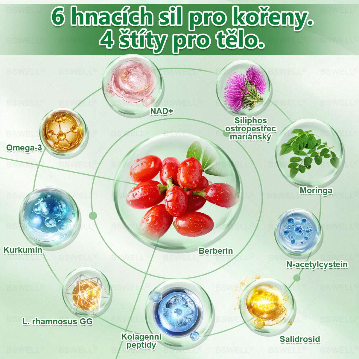 🌲🌲 BSWELL® Nano mikrovpichová zeštíhlující náplast✨(Stačí použít pouze jednou denně – viditelné změny již za 28 dní) ✅Bezbolestná, dlouhotrvající, zaměřená na řešení cukrovky, obezity a kardiovaskulárních onemocnění