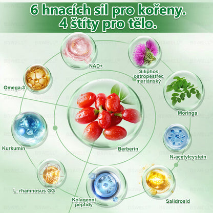 🌲🌲 BSWELL® Nano mikrovpichová zeštíhlující náplast✨(Stačí použít pouze jednou denně – viditelné změny již za 28 dní) ✅Bezbolestná, dlouhotrvající, zaměřená na řešení cukrovky, obezity a kardiovaskulárních onemocnění
