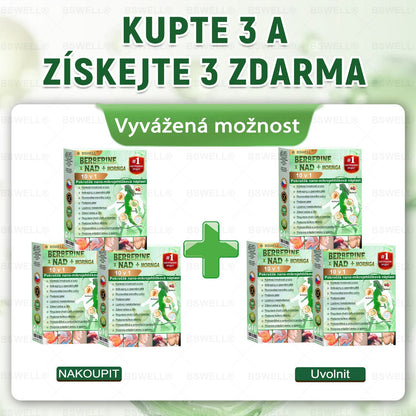 🌲🌲 BSWELL® Nano mikrovpichová zeštíhlující náplast✨(Stačí použít pouze jednou denně – viditelné změny již za 28 dní) ✅Bezbolestná, dlouhotrvající, zaměřená na řešení cukrovky, obezity a kardiovaskulárních onemocnění